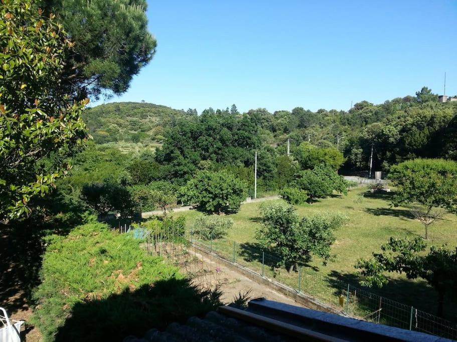 Saint Jean du Pin Appartement Au Fond Du Jardin מראה חיצוני תמונה